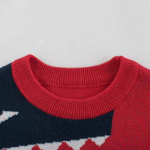 Boy's Crocodile Sweater