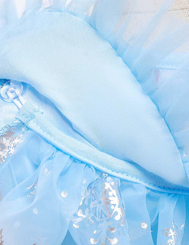 Frozen Mesh Party Dress