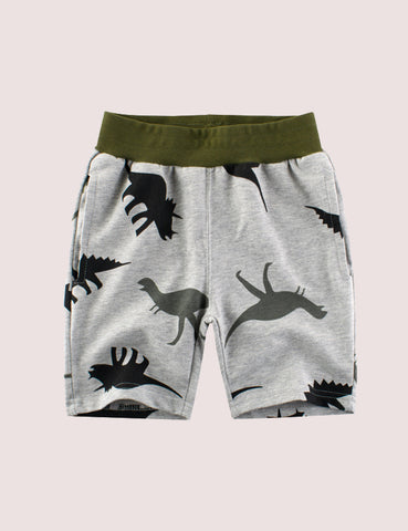 Dinosaur Full Print Shorts