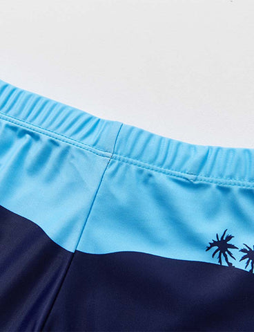 Shark Tiger Swimming Shorts