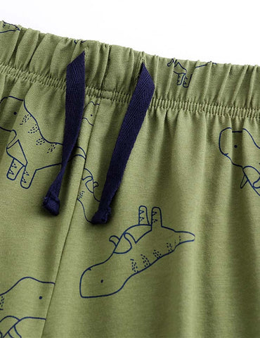 Dinosaur Appliqué Set