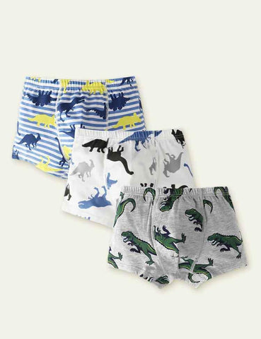 Dinosaur Print Boxer Briefs - CCMOM