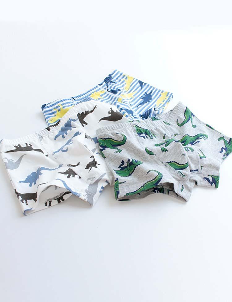 Dinosaur Print Boxer Briefs - CCMOM