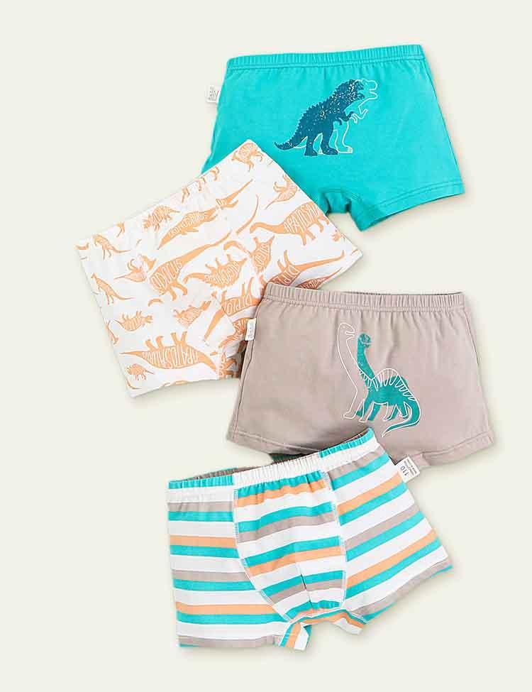 Dinosaur Print Boxer Shorts - CCMOM