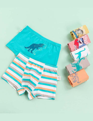 Dinosaur Print Boxer Shorts - CCMOM