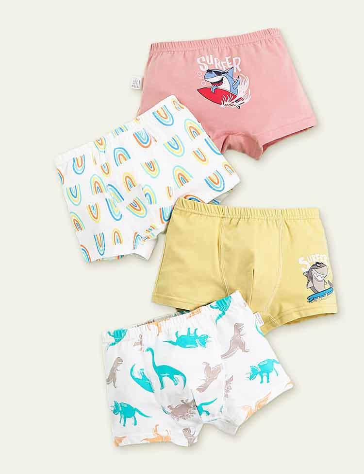 Dinosaur Print Boxer Shorts - CCMOM