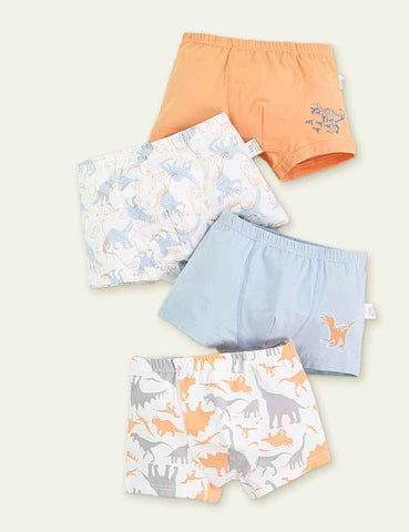 Dinosaur Print Boxer Shorts - CCMOM