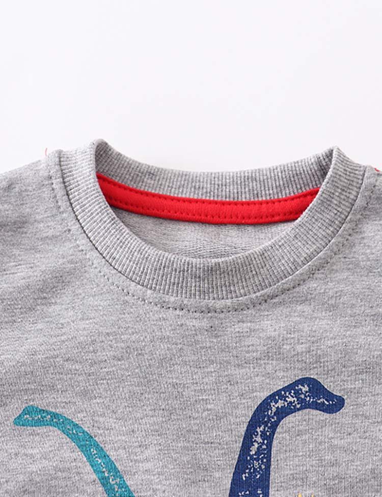 Dinosaur Printed Sweater - CCMOM