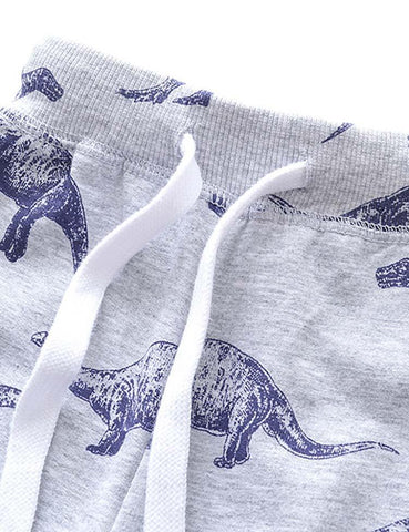 Dinosaur Printed Sweatpants - CCMOM